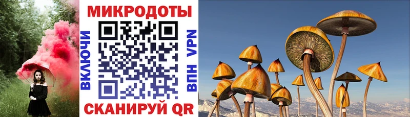 купить  сайты  Краснослободск  Галлюциногенные грибы Magic Shrooms 